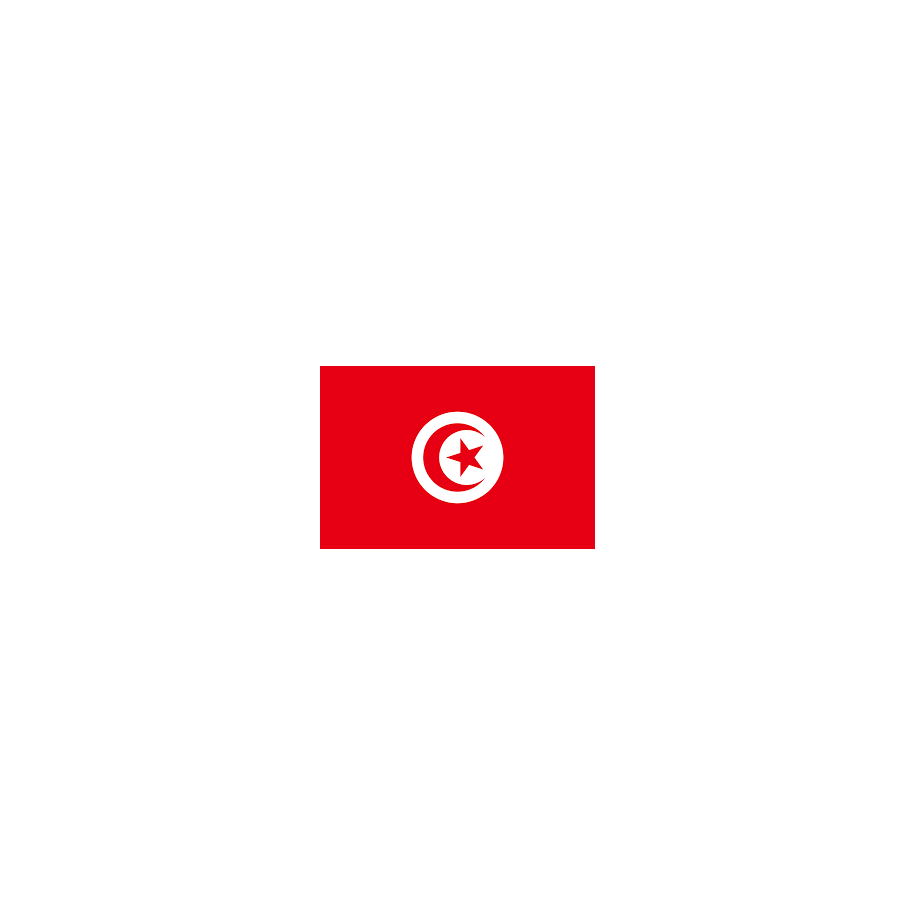 JEUX DE PATIN AV SYMBOL 2 CLIO IV 2013